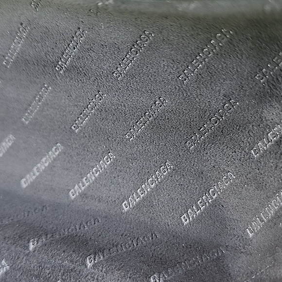 Balenciaga Hard Shell SunGlasses Case main image 7